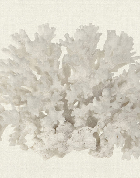 Fanciful Coral III