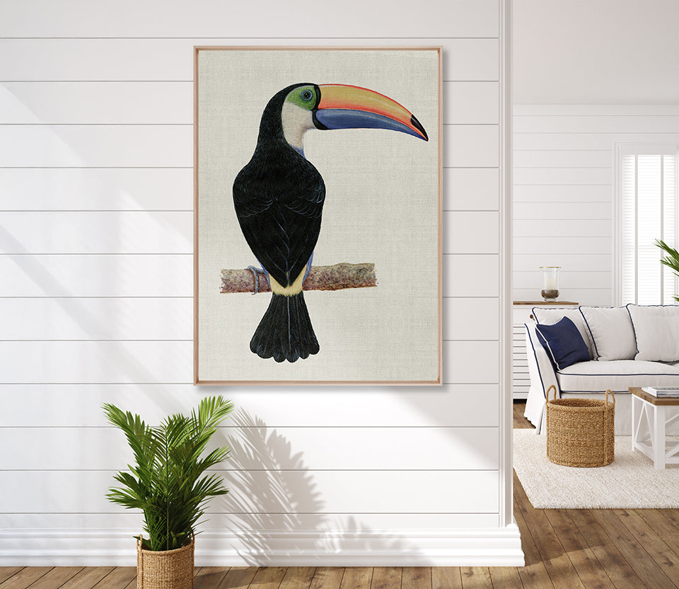 Colourful Toucan III (Canvas)