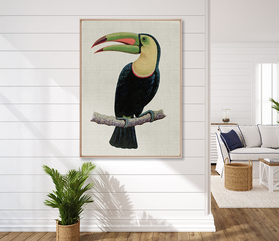Colourful Toucan IV (Canvas)