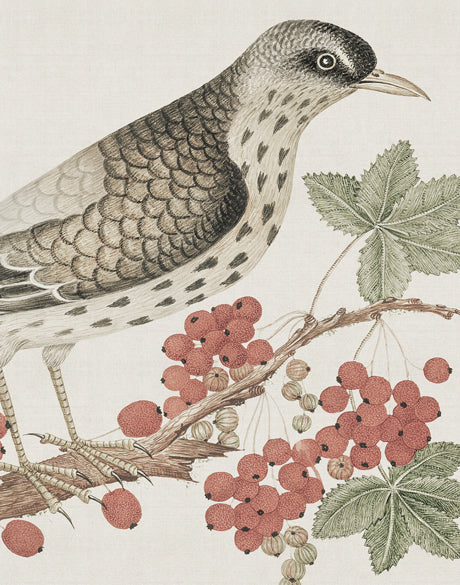 Ariala Bird III (Canvas)