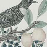 arial06_3