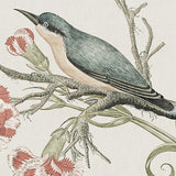 arial07-c_3