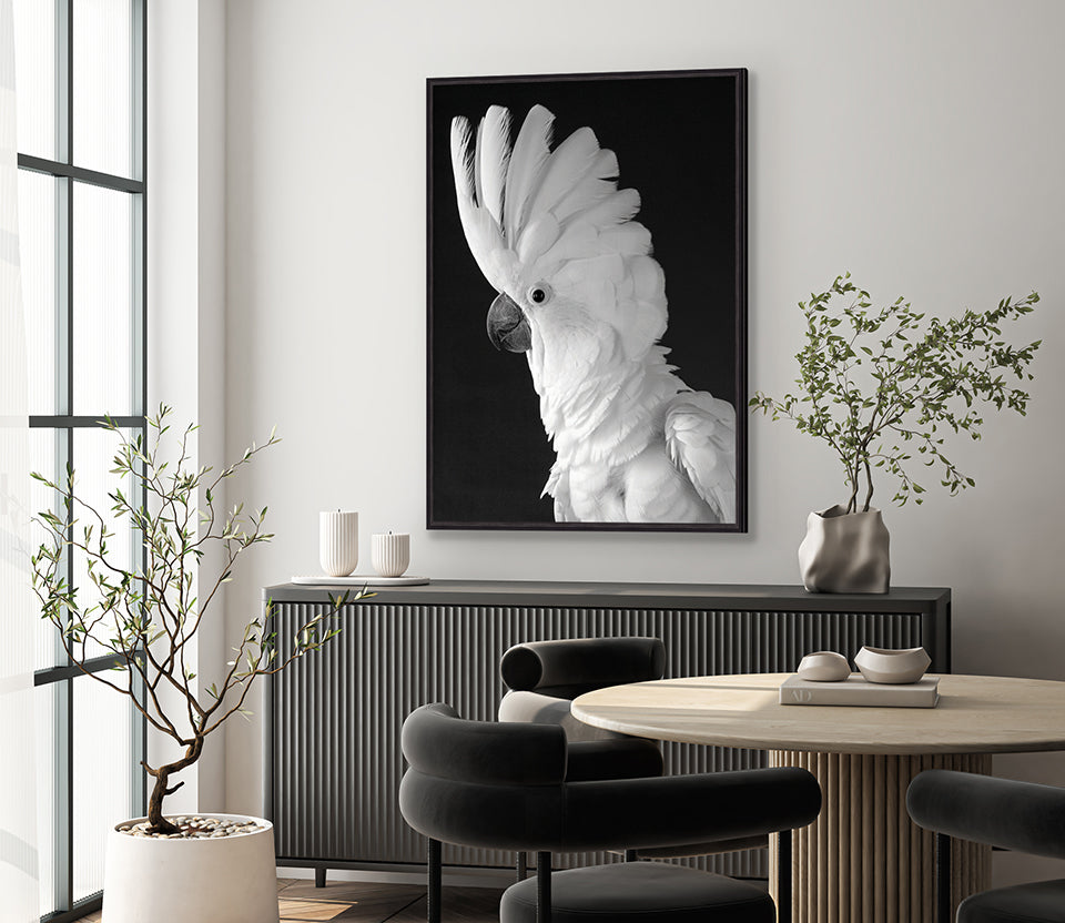 Cockatoo (Canvas)
