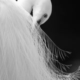 art02_3