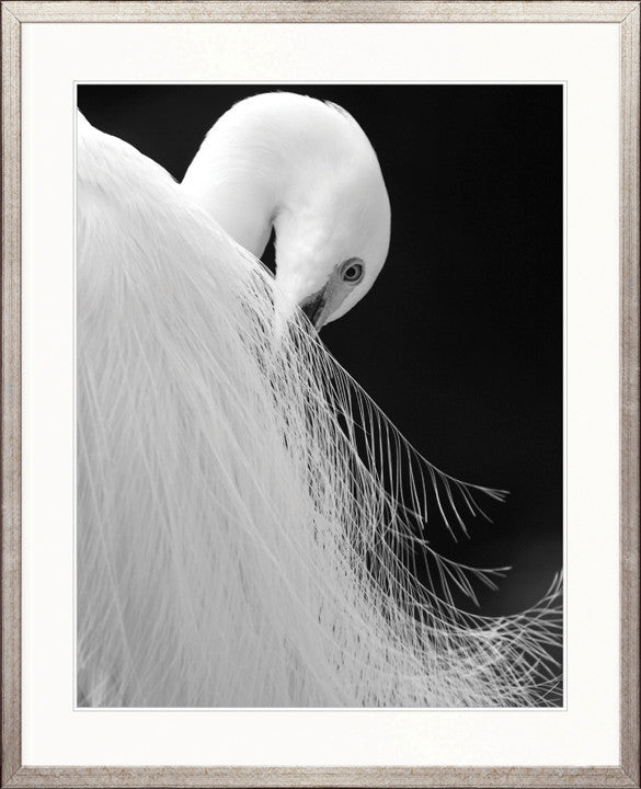 Heron