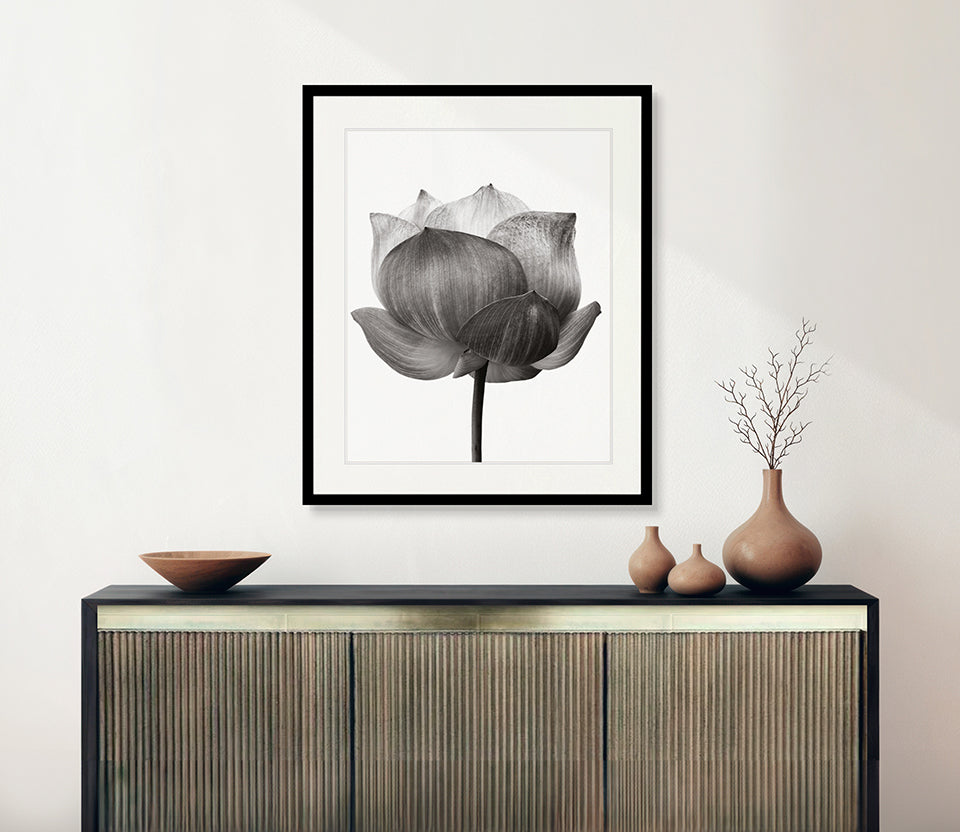Lotus