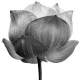 art03_3