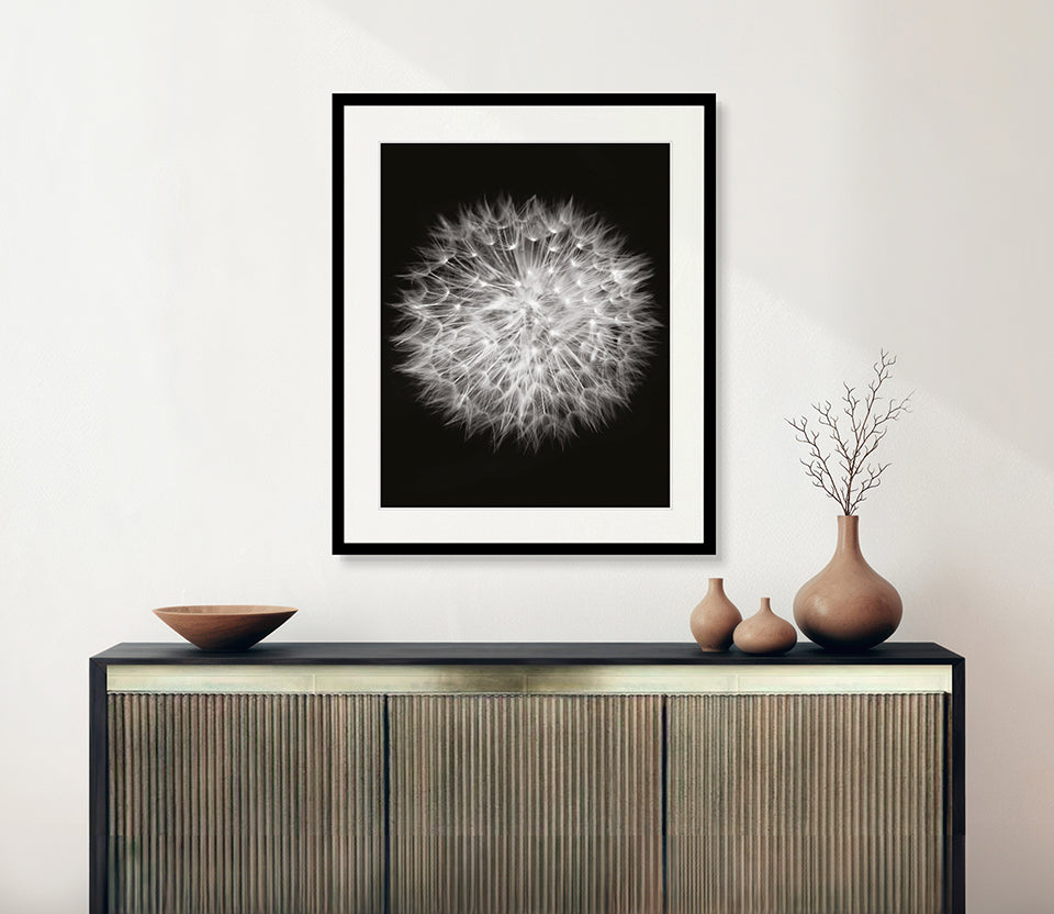 Dandelion
