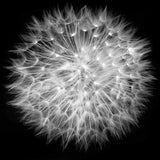 art04_3