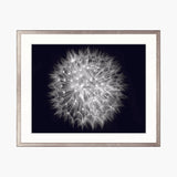 art04_4