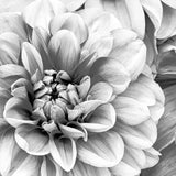 art07_3