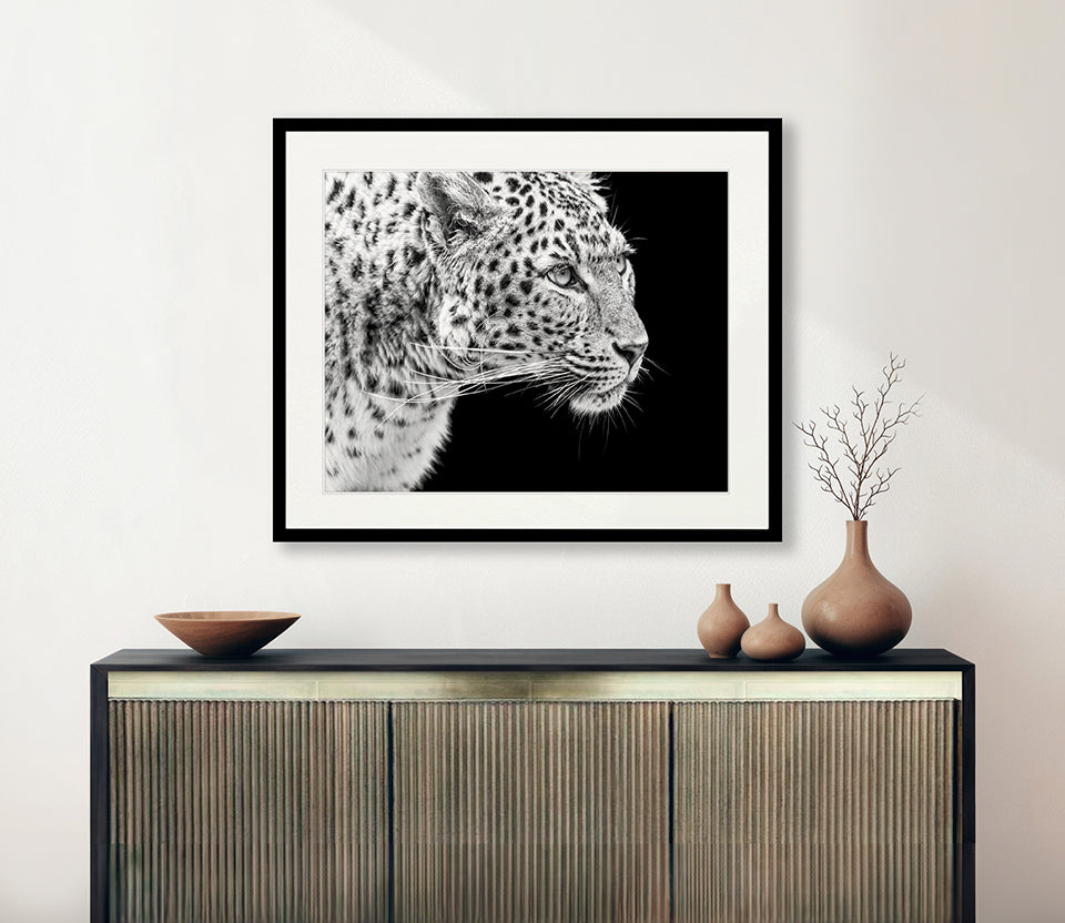 Amur Leopard