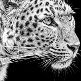 art08_3