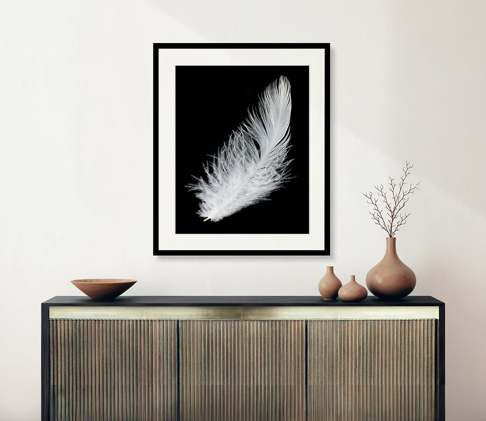 Feather In Flight