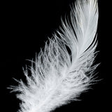 art15_3