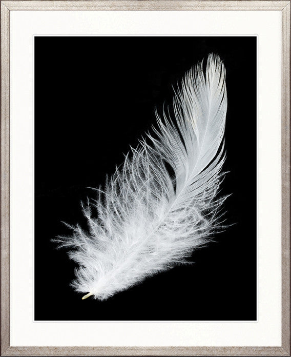 Feather In Flight