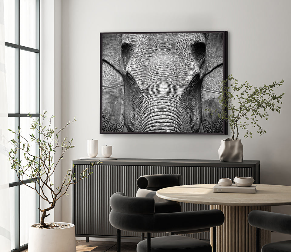 Elephant Wisdom (Canvas)