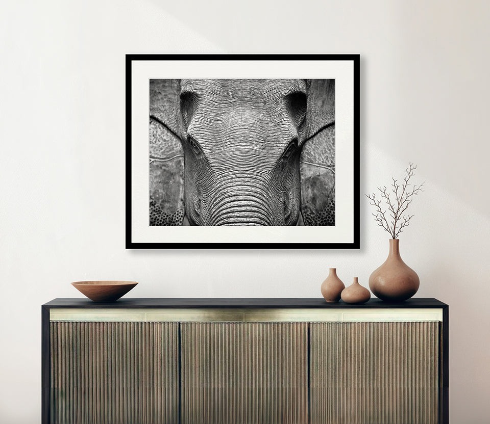 Elephant Wisdom