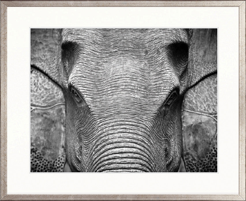Elephant Wisdom