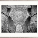 Elephant Wisdom