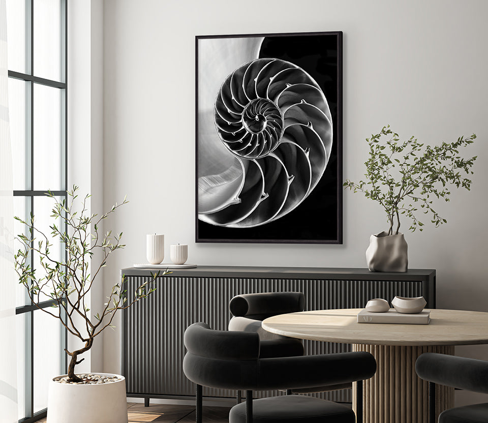 Nature's Symmetry (Canvas)