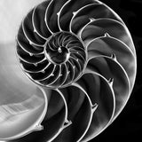 art25_3