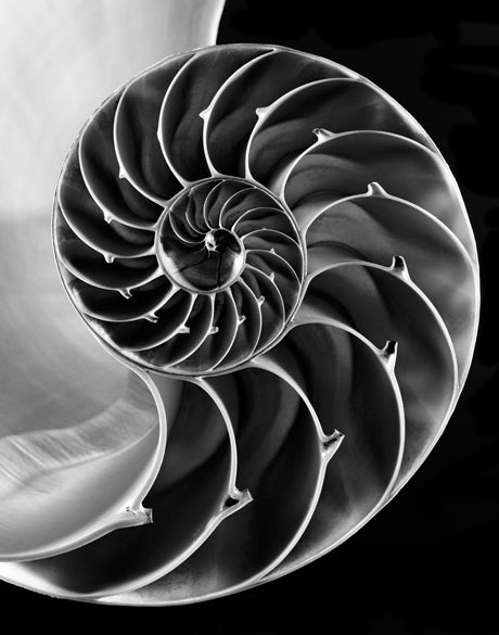 Nature's Symmetry