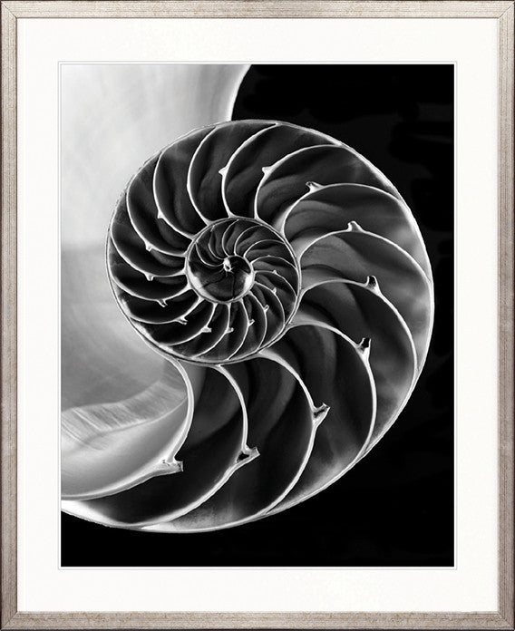 Nature's Symmetry