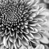 art31_3