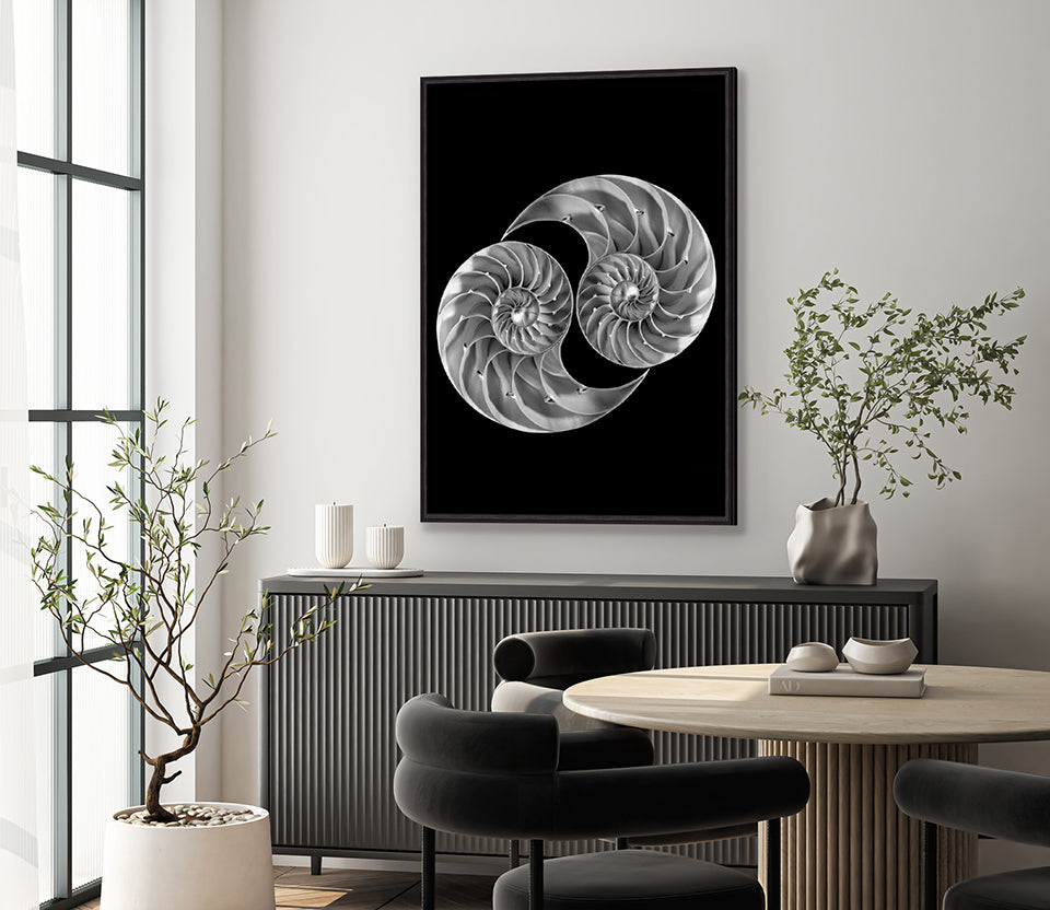 Nautilus Shells (Canvas)
