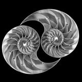 art35_3