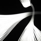 art38_3