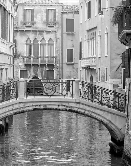 Venice Dreaming