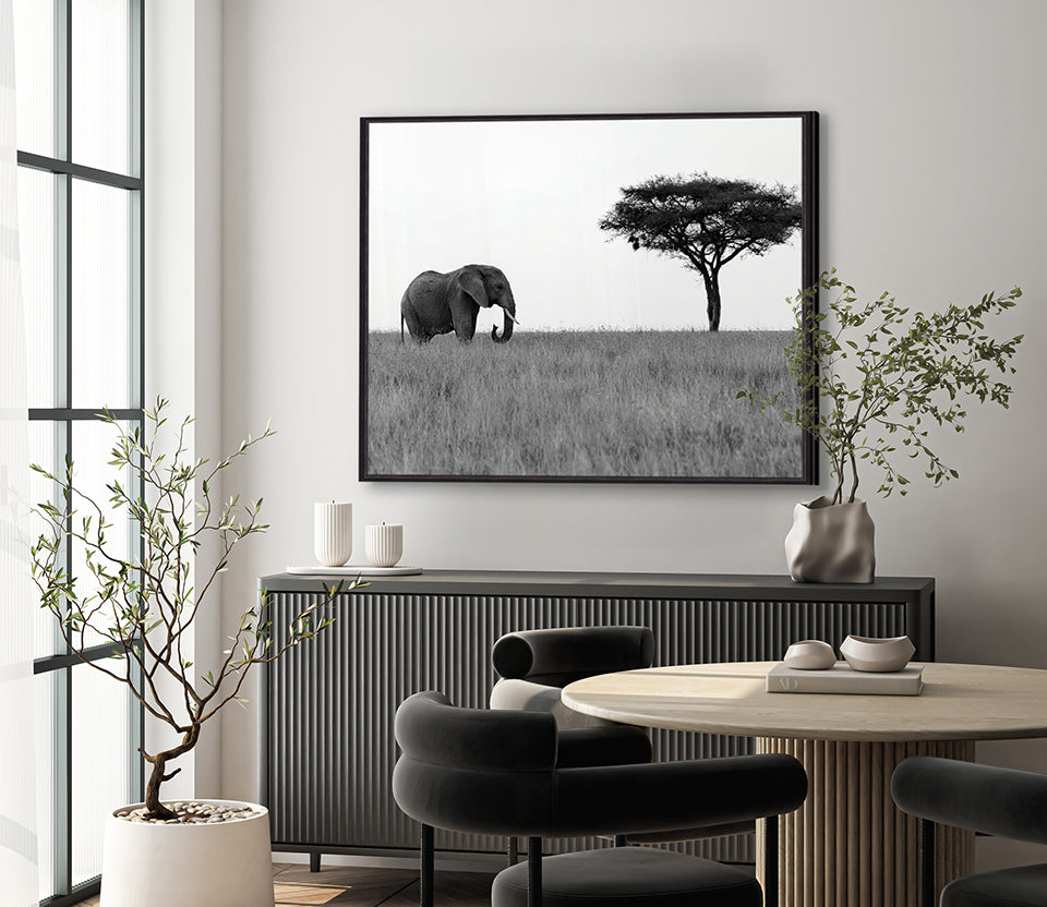 Elephant Journey (Canvas)