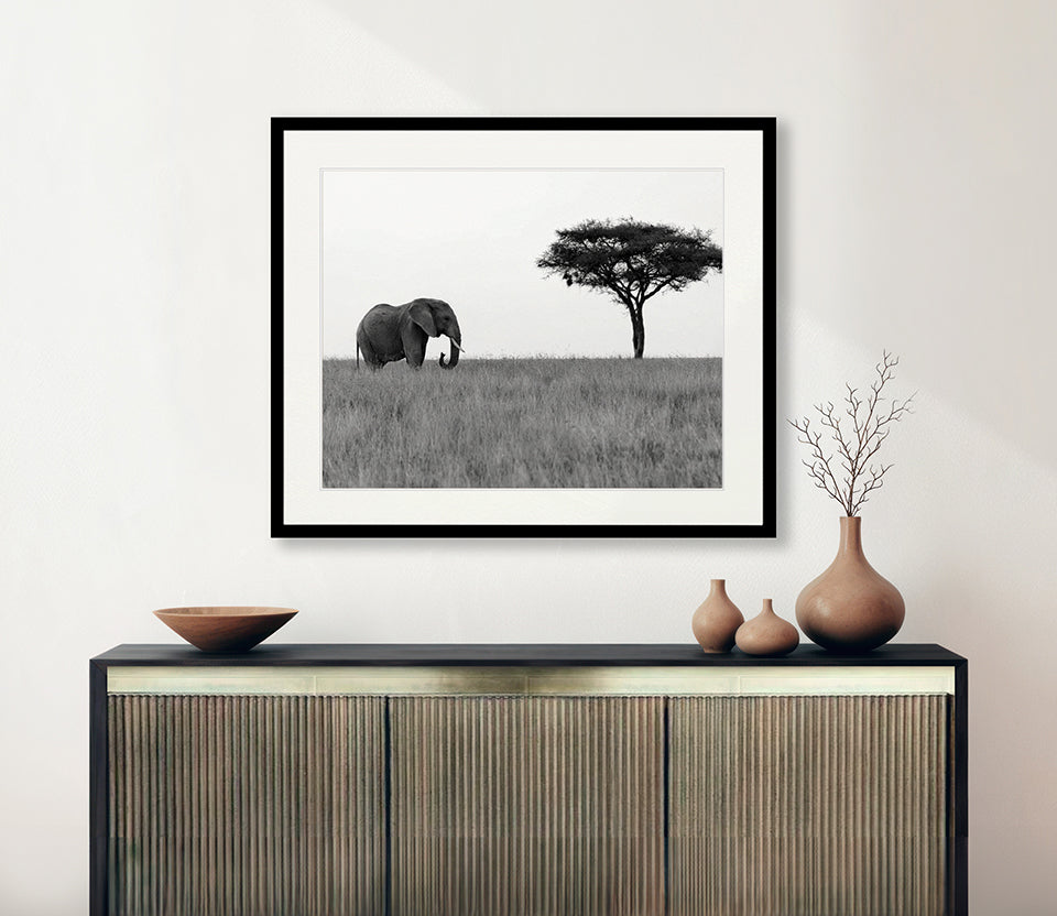 Elephant Journey