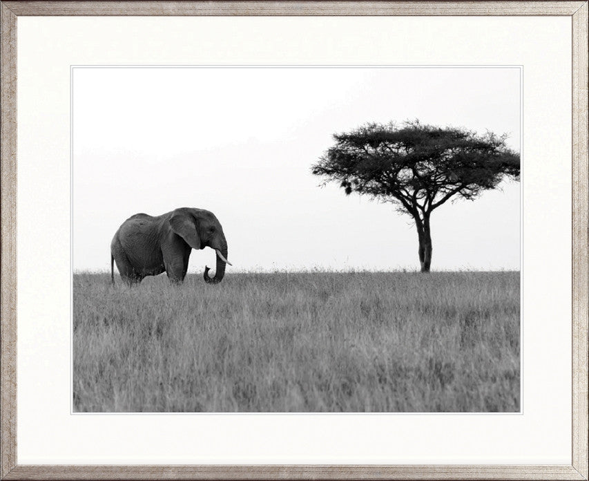 Elephant Journey