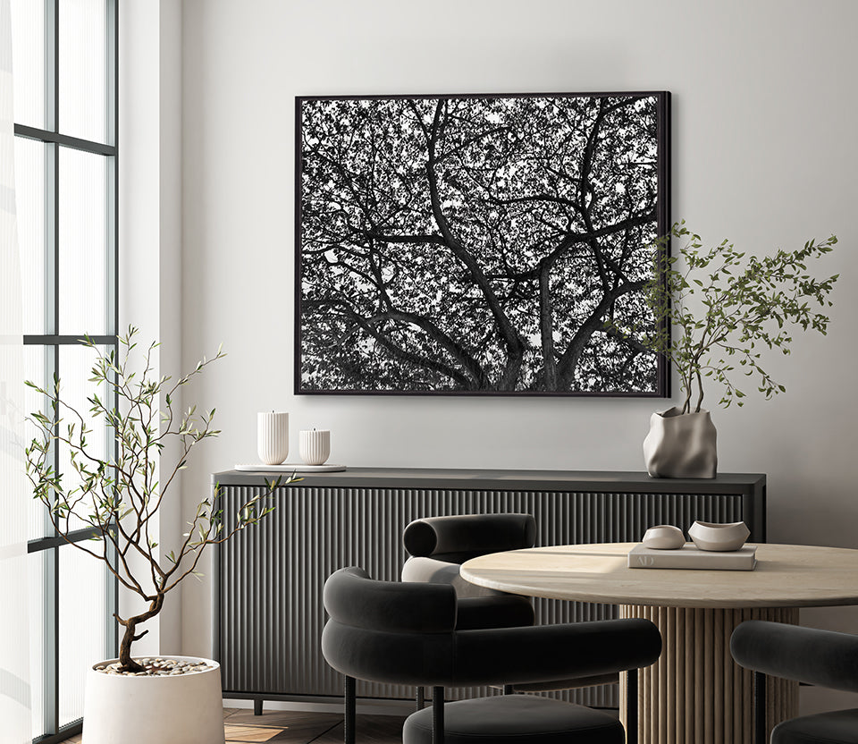Forest Light (Canvas)