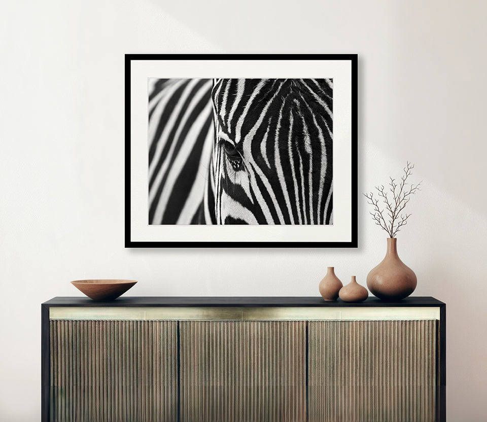 Safari Stripes