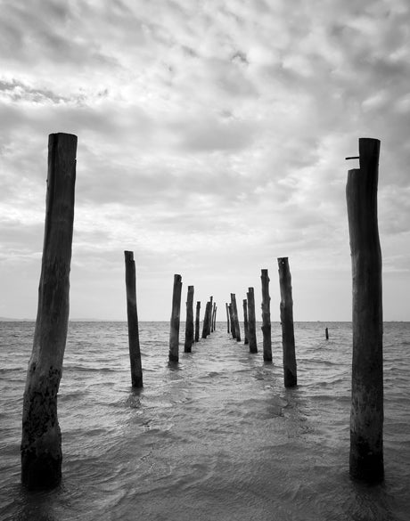 Skyward (Arthouse)