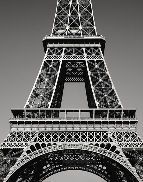 Towering Beauty