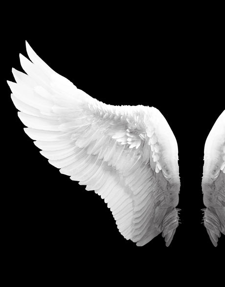 Angel Wings