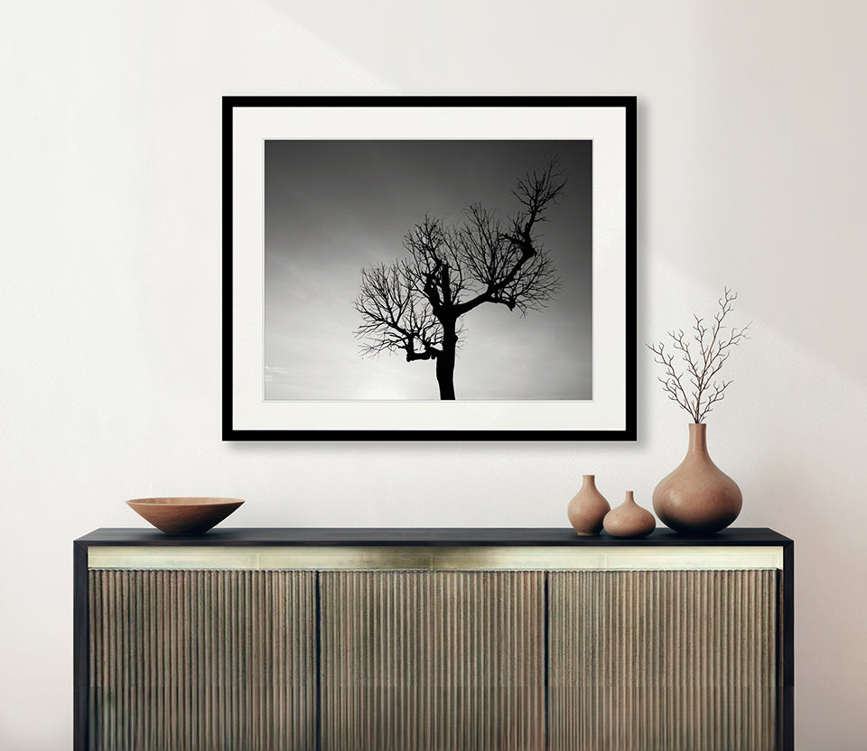 One Tree Sky