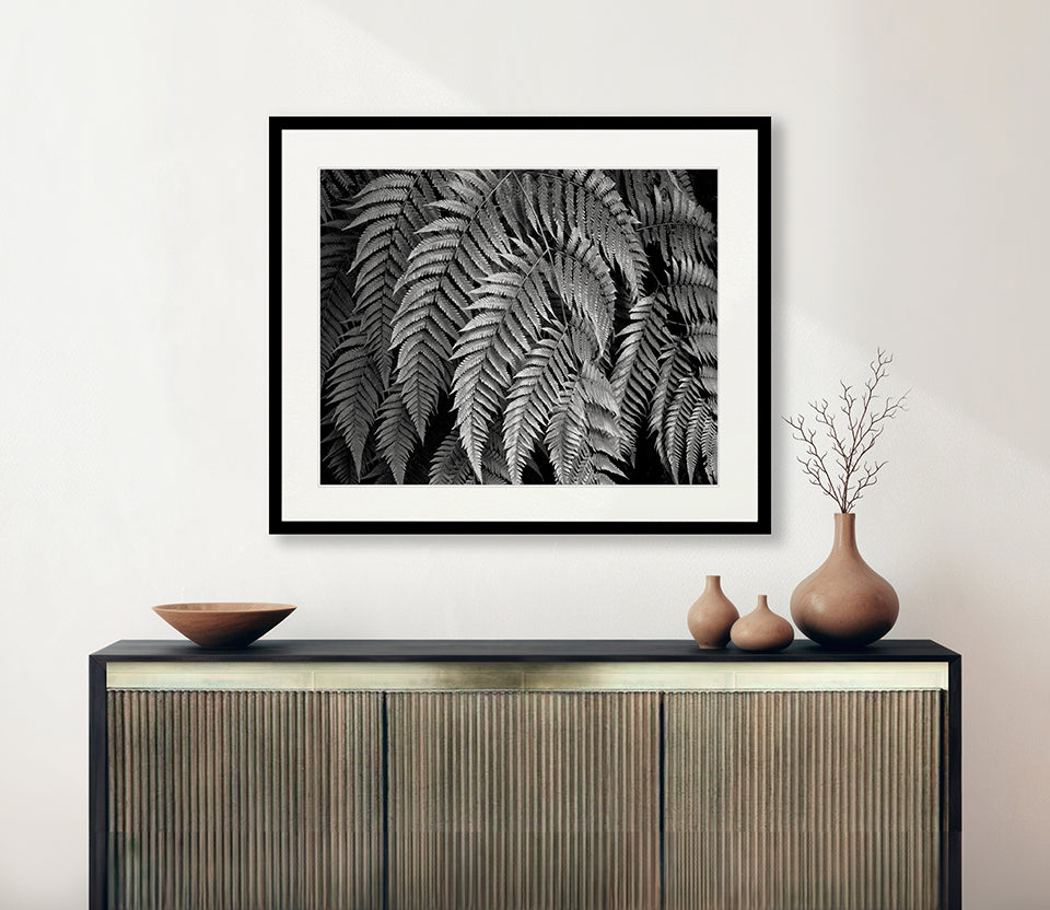 Fern Gully