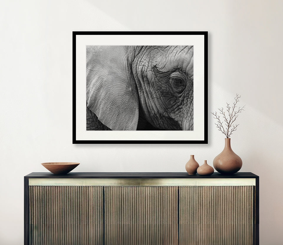 Elephant  Wisdom