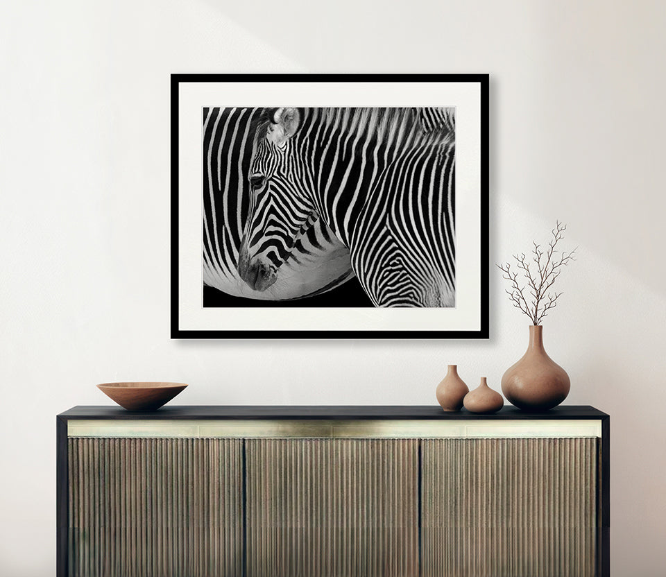 Safari  Stripes