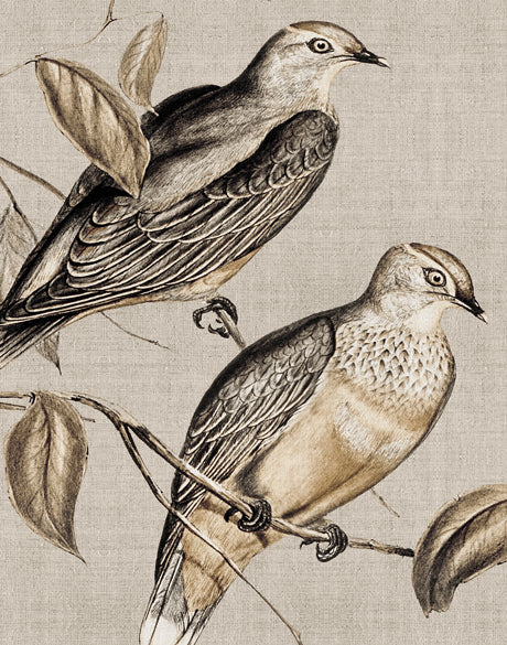 Meadow Birds I (Canvas)