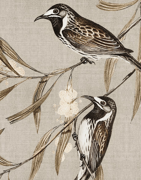 Meadow Birds II