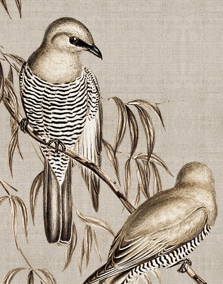 Meadow Birds V (Canvas)