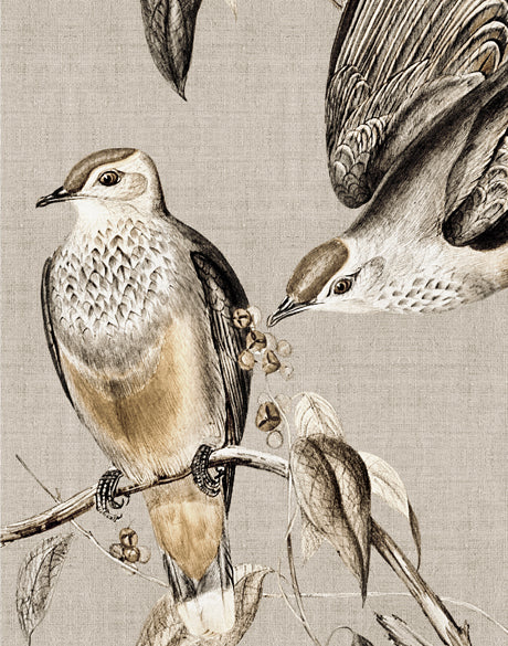 Meadow Birds VI