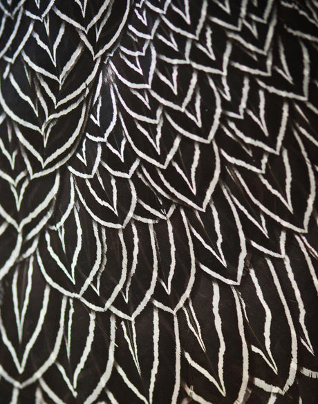 Simple Feather II